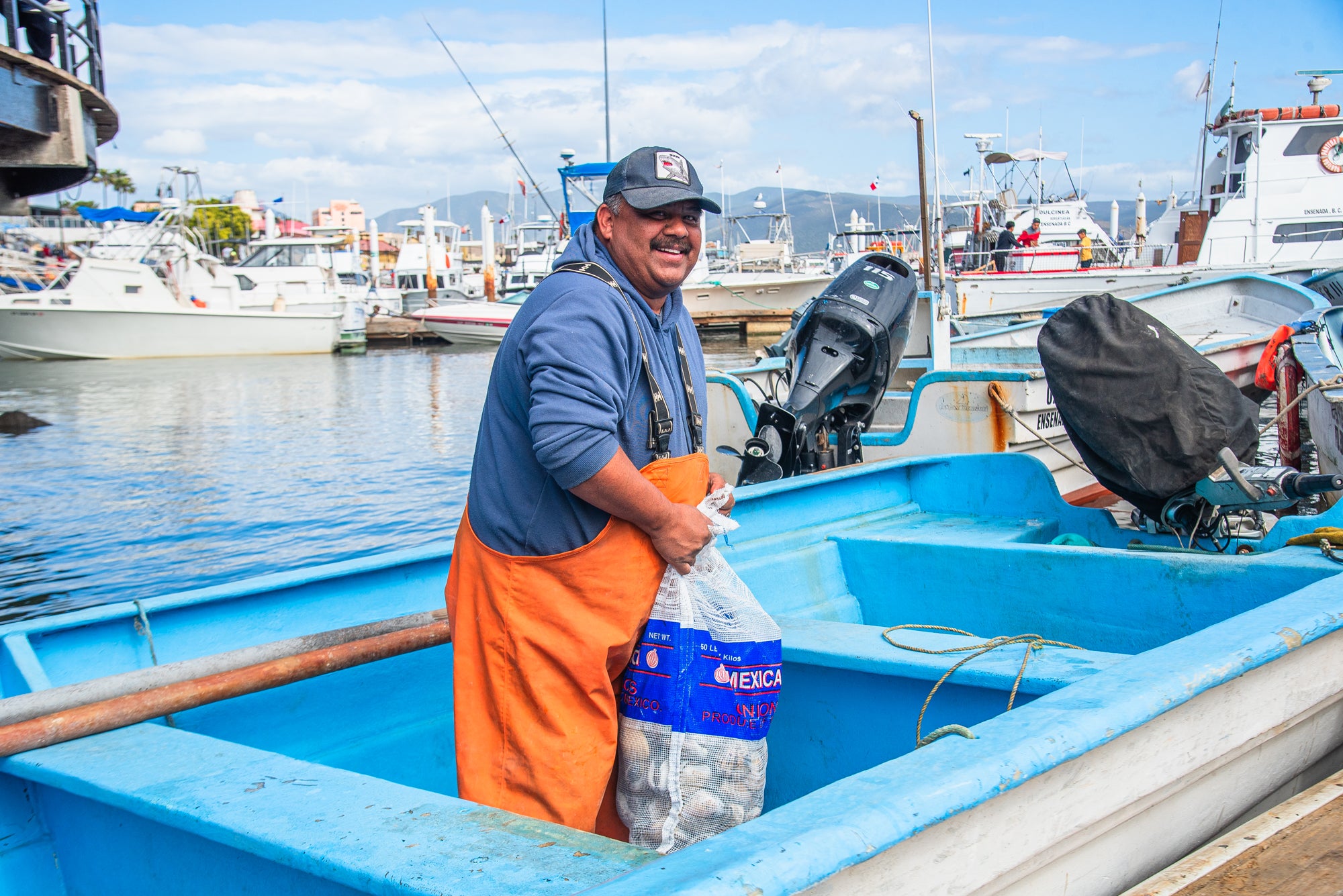Almeja Pismo- Docena